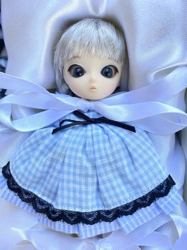 Nib jun planning pullip - nib, doll
