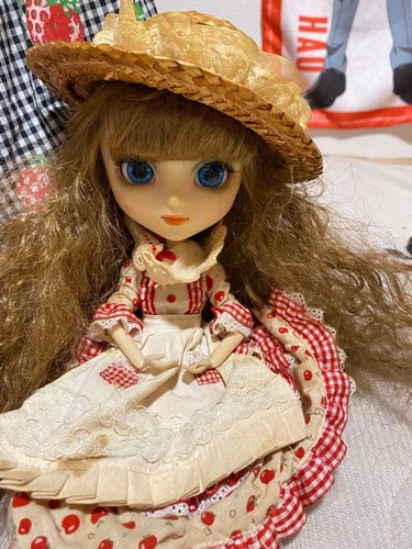 Pullip doll - pullip,